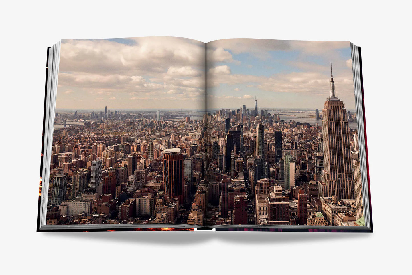 LIBRO NEW YORK CHIC