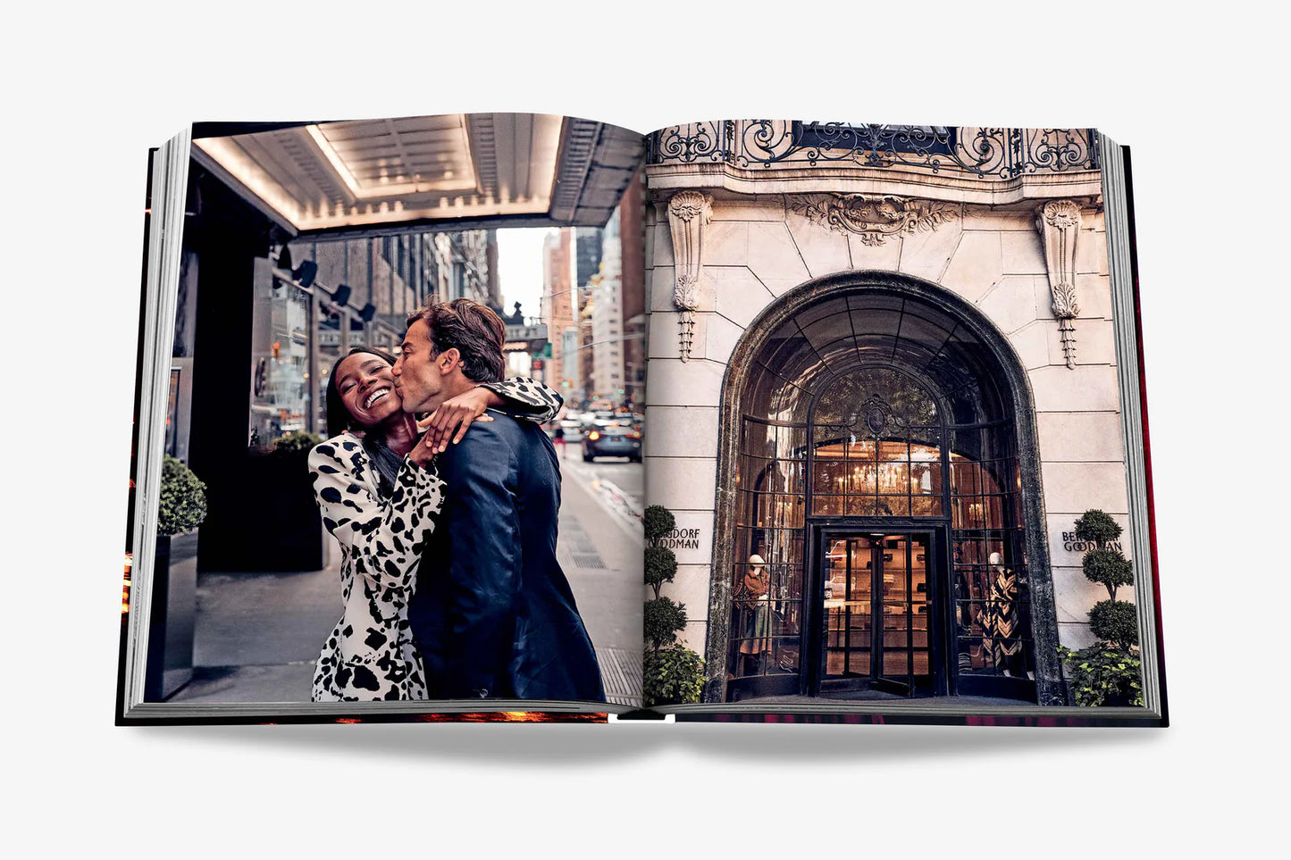 LIBRO NEW YORK CHIC