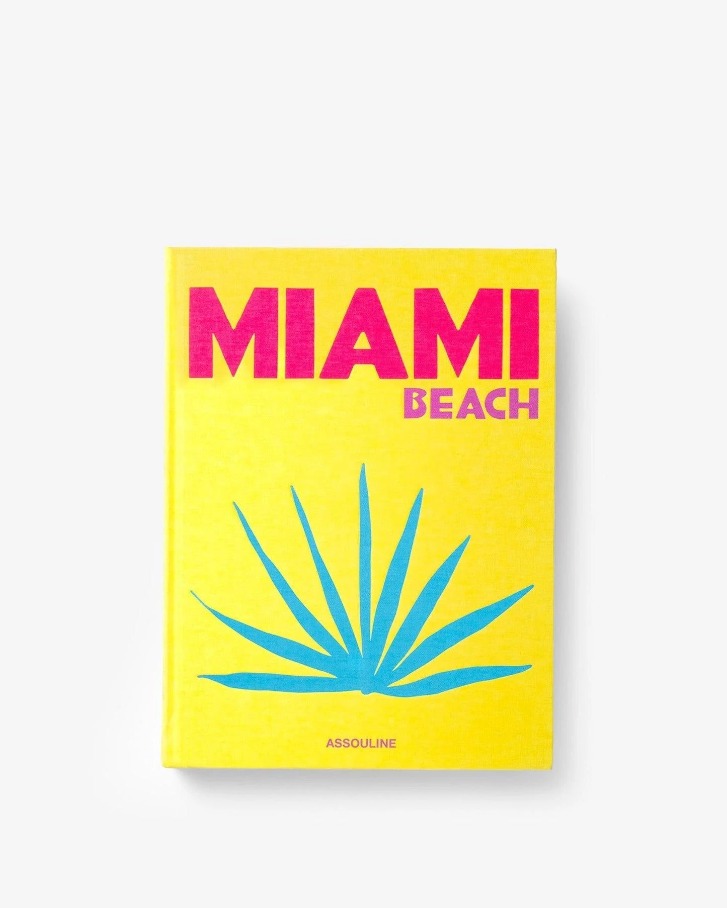 LIBRO MIAMI BEACH