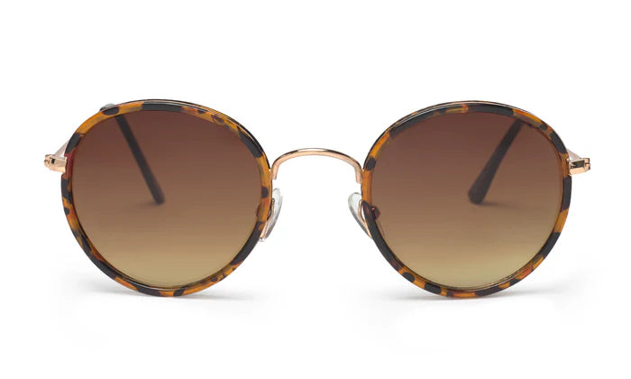 GAFAS BLACKBIRD