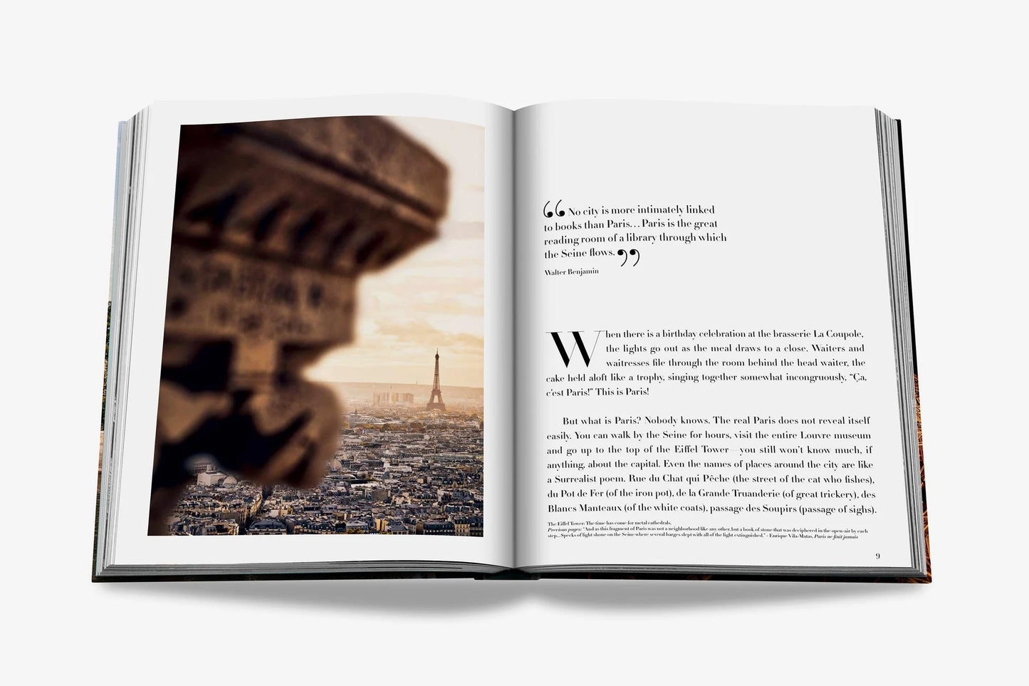 LIBRO PARIS CHIC