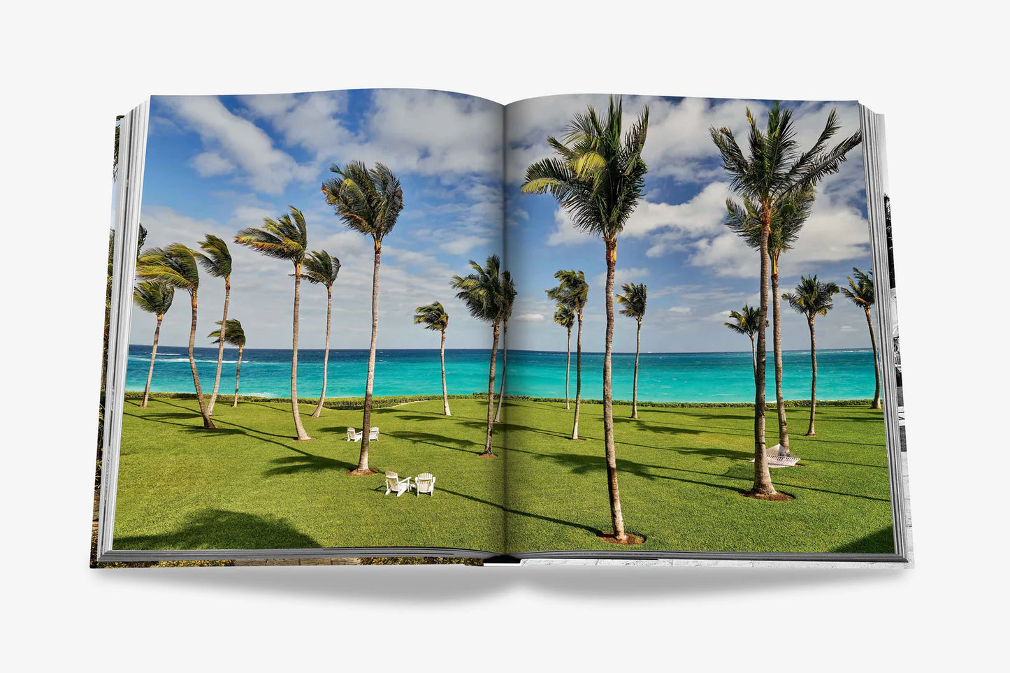 LIBRO THE OCEAN CLUB
