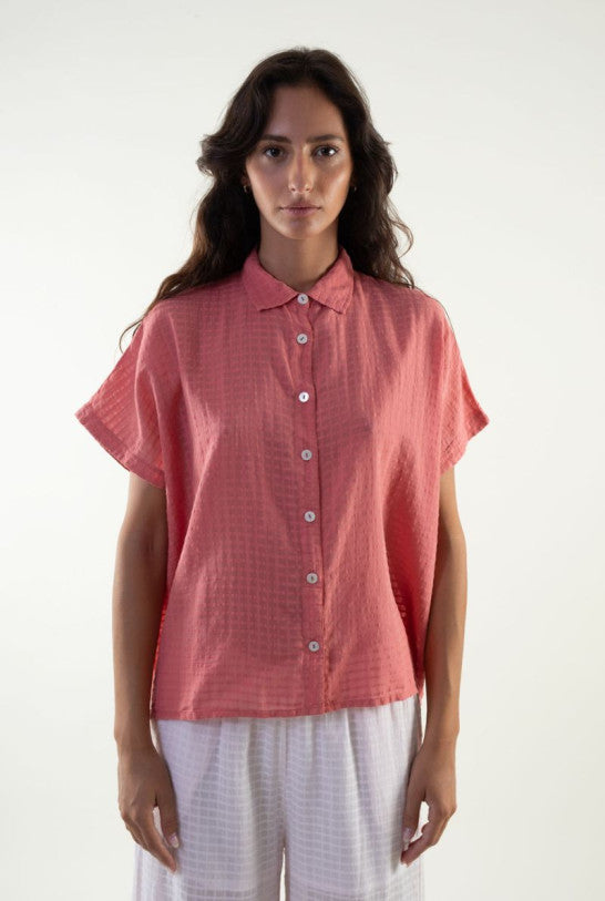 Camisa Will