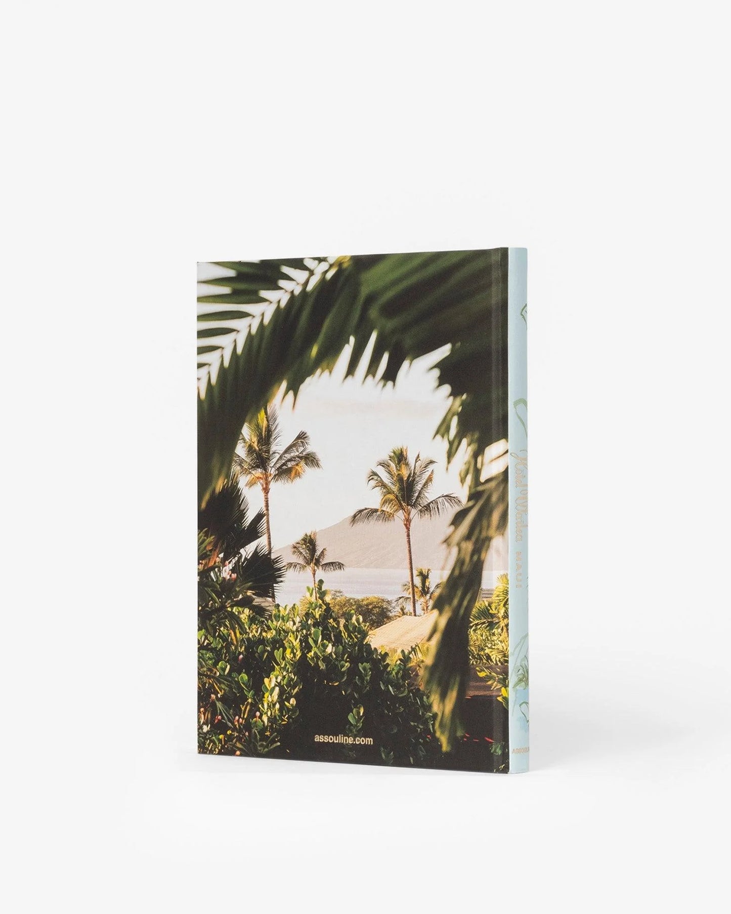LIBRO HOTEL WAILEA