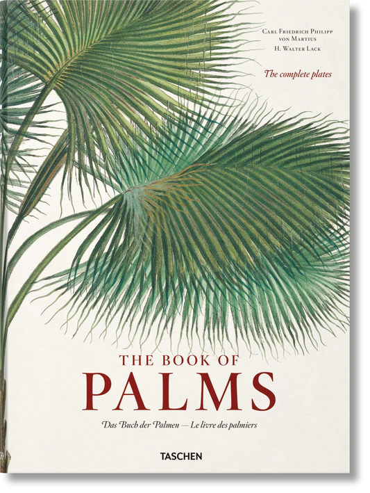 LIBRO THE BOOK OF PALMS