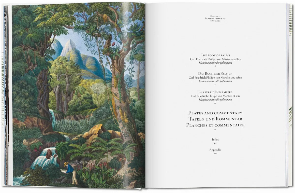 LIBRO THE BOOK OF PALMS
