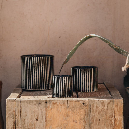 Vela Zebra Collection Pequeño